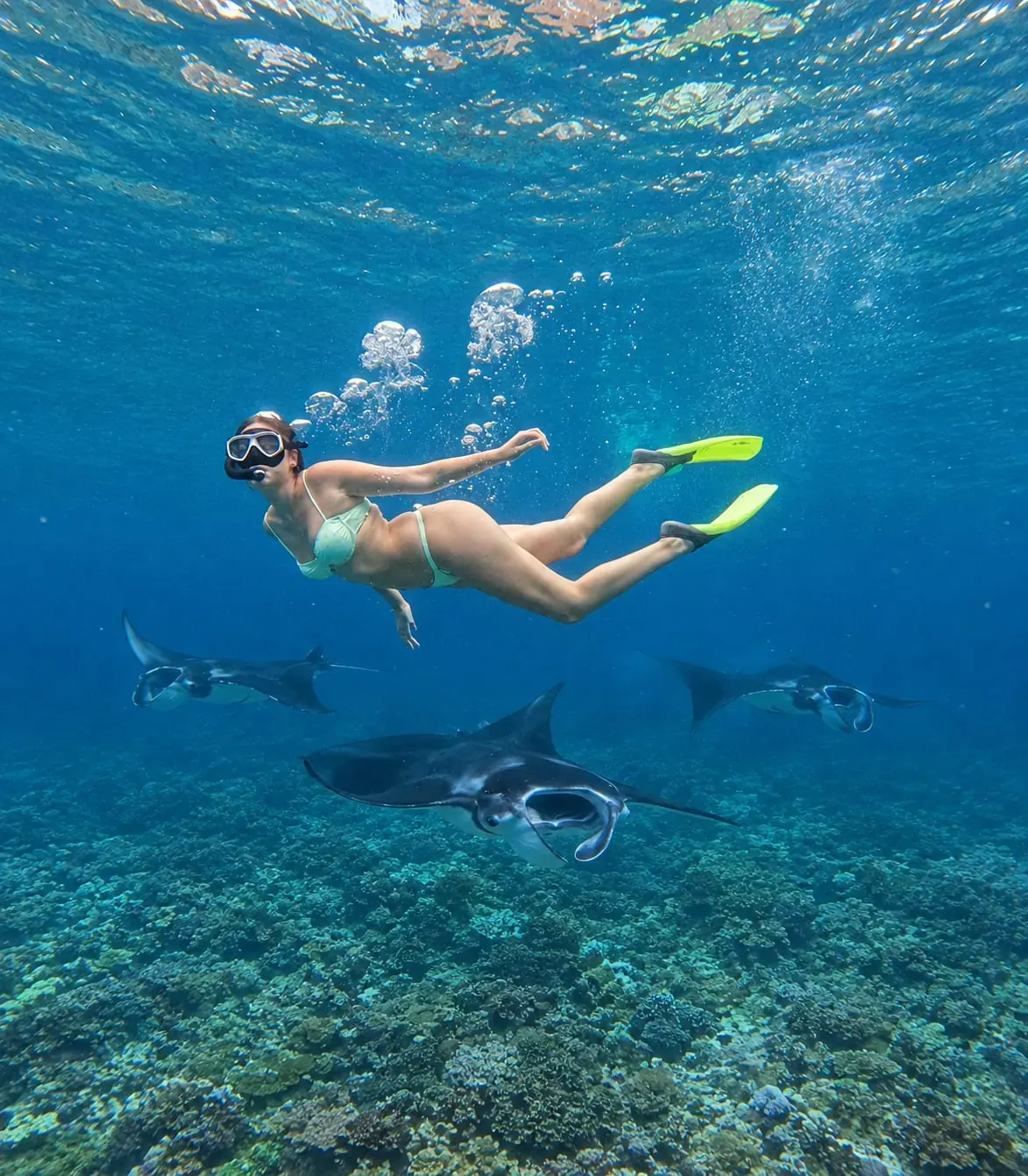 Snorkeler swimming above manta rays in Nusa Penida